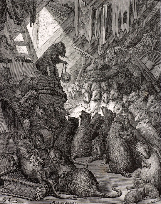 many rat